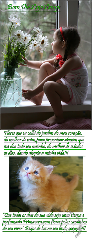 floresdaprimavera%2B3.png