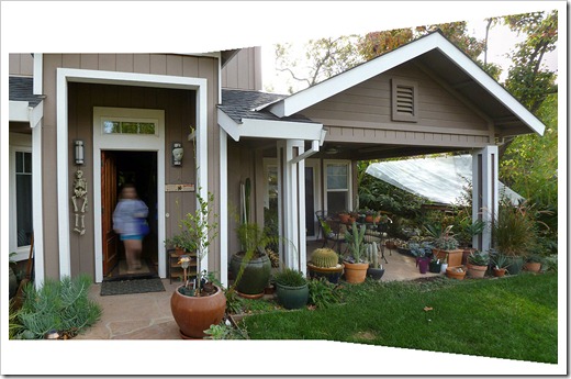 111114_front_patio_pano