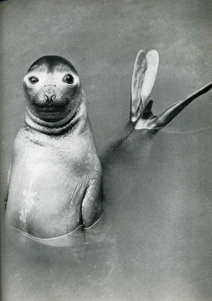 [clip_image052%255B4%255D.jpg]