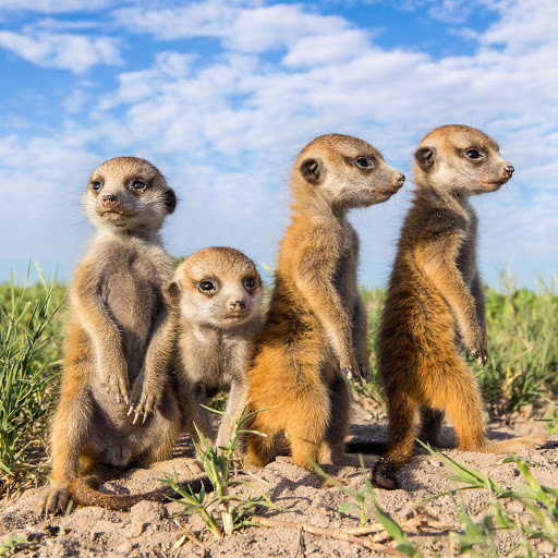 Hd-158951-ascw158951