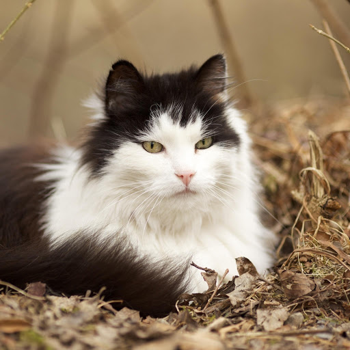 Hd-174429-ascw174429