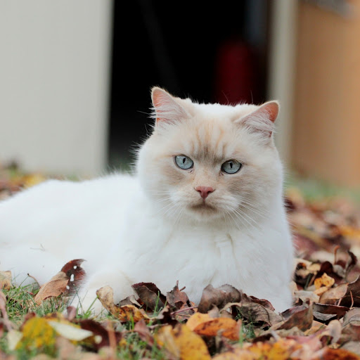 Hd-163045-ascw163045