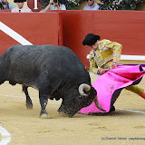 Fernando Robleño