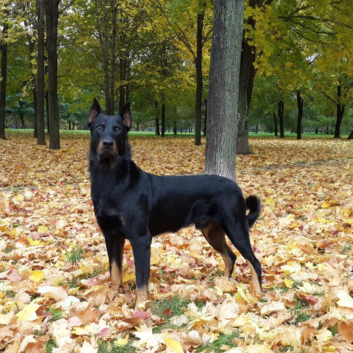 Hd-180659-ascw180659