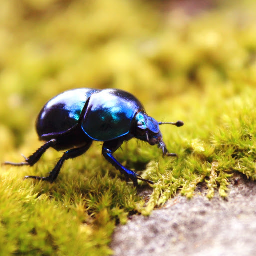 Hd-181146-ascw181146