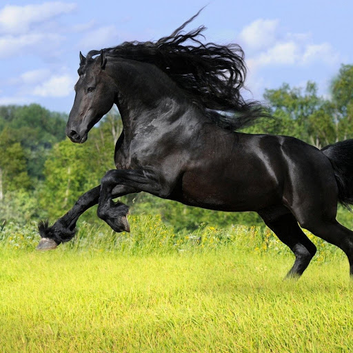 Hd-182083-ascw182083