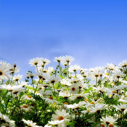 Hd-131489-ascw131489