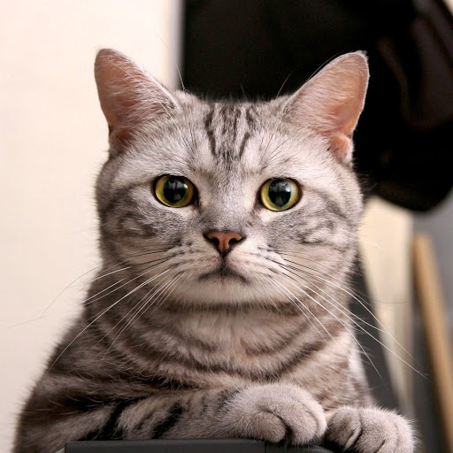 Hd-141793-ascw141793