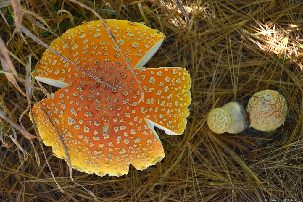 [DSC_0101%255B3%255D.jpg]