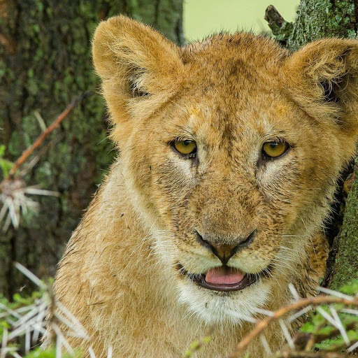 Hd-164646-ascw164646