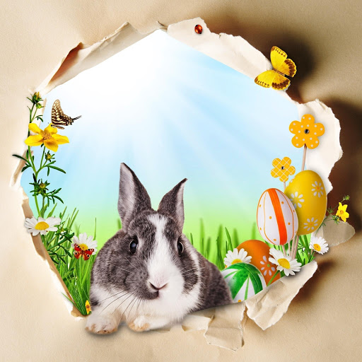 Hd-174692-ascw174692