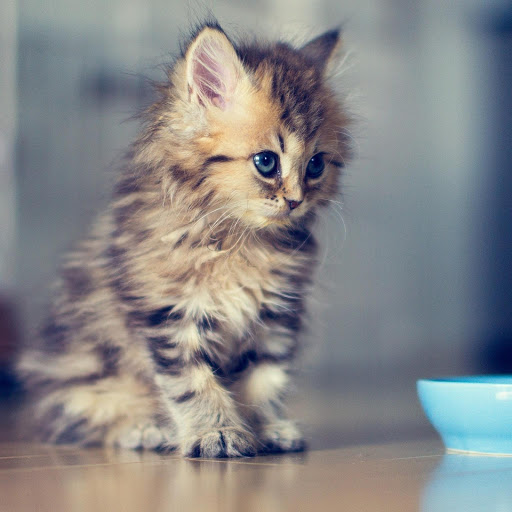 Hd-156954-ascw156954