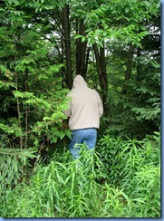 4988 Laurel Creek Conservation Area - Bill searching for the Septomaple Geocache