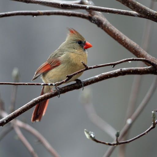 Hd-178936-ascw178936