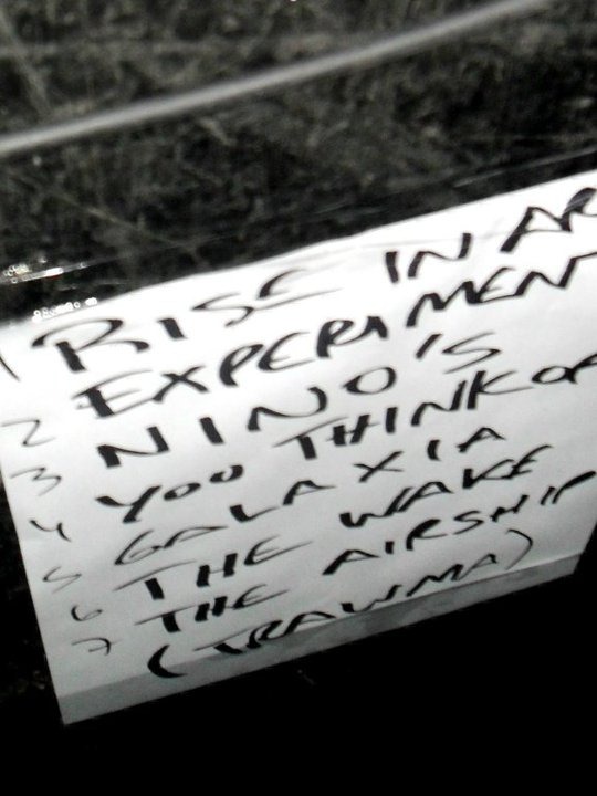 [44901_1673270954486_1318776343_1764162_55267_n%255B2%255D.jpg]