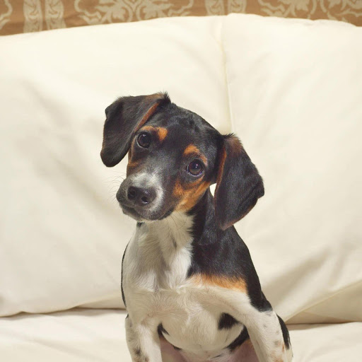 Hd-174150-ascw174150