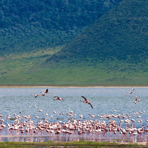 Hd-155256-ascw155256