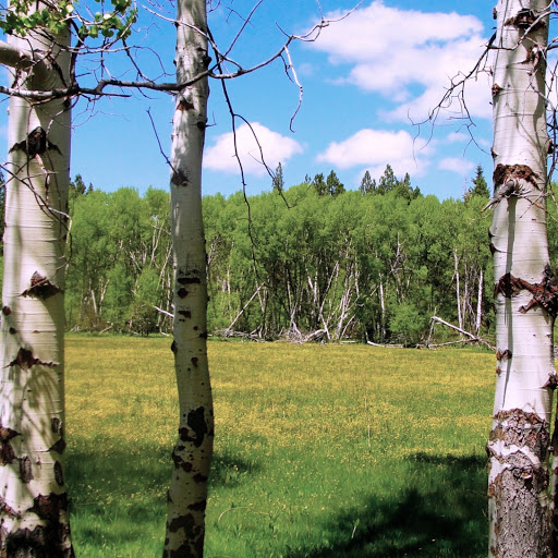 Hd-164525-ascw164525