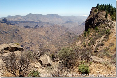 6380 Deg. Las Palomas-Bº. Hondo 6380 Deg. Las Palomas-Bº. Hondo