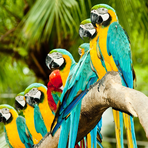 Hd-161873-ascw161873