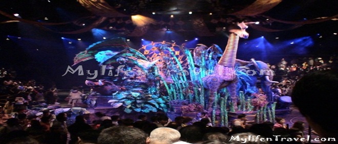 Lion King Disneyland HK 36 Lion King Disneyland HK 36