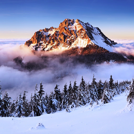 Hd-164312-ascw164312