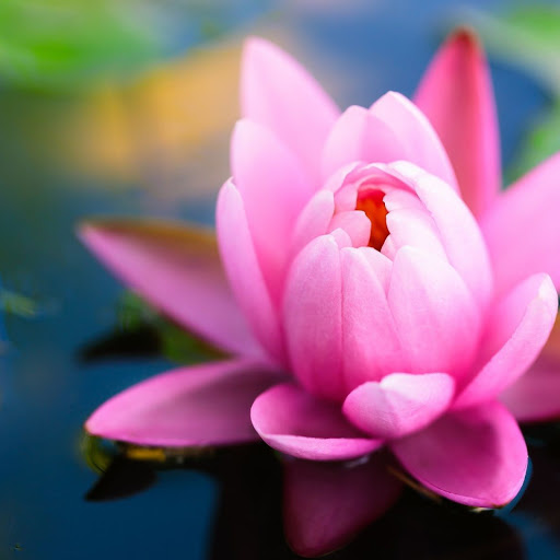 Hd-136917-ascw136917