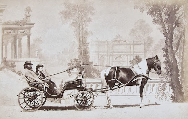 Monsieur Adam Salomon by Louis Jean Delton