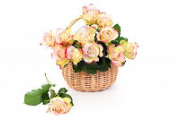 6307590-basket-full-of-roses-on-white-ba