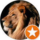 Crsitian Cosmin Covaci