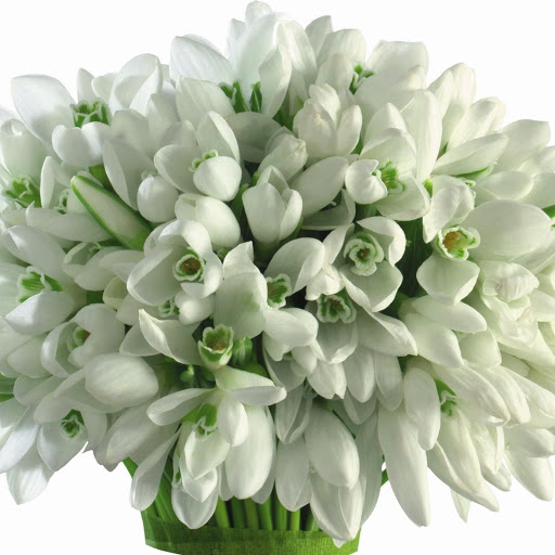 Hd-149228-ascw149228