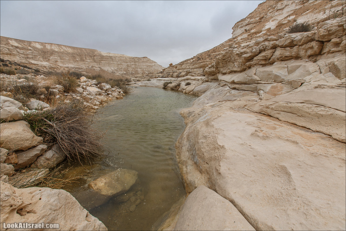 Ручей Акев и источник Эйн Акев в пустыне Негев. LookAtIsrael.com - Фото путешествия по Израилю