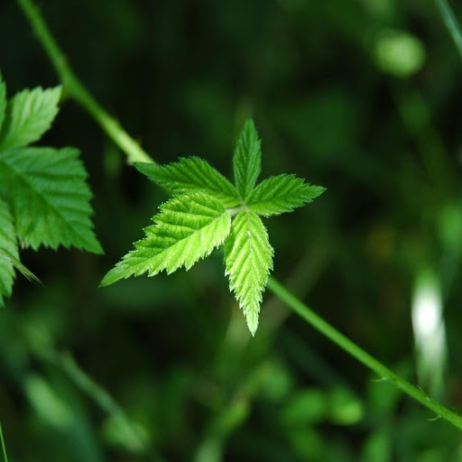 Hd-179594-ascw179594