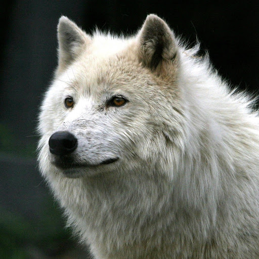 Hd-173492-ascw173492