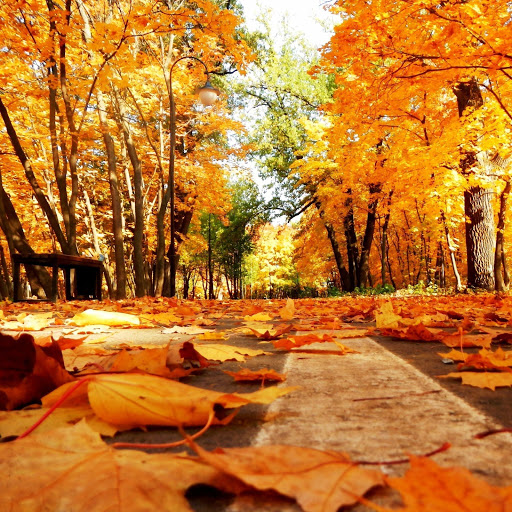 Hd-151955-ascw151955