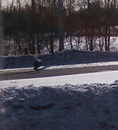 [Capture%255B9%255D.jpg]