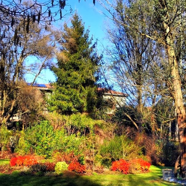 [1-Fullscreen%2520capture%252021012014%2520155600%255B6%255D.jpg]