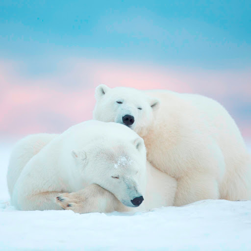 Hd-185903-ascw185903