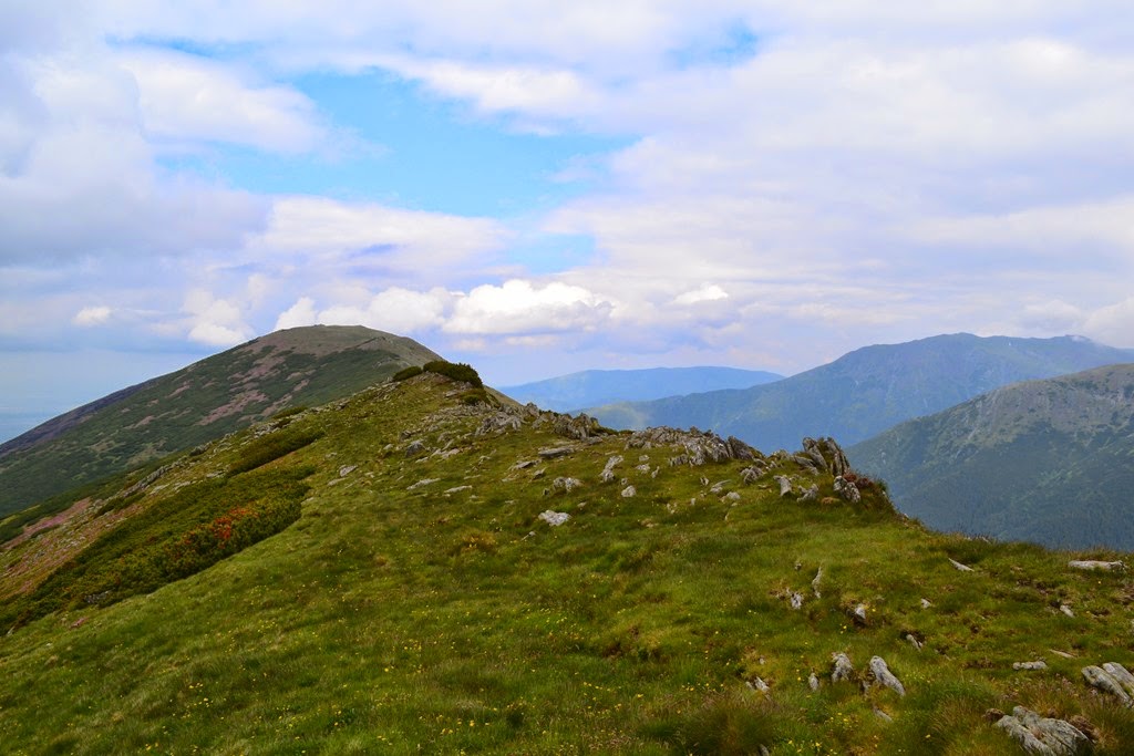 [DSC_83983.jpg]