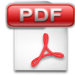 pdfLogo