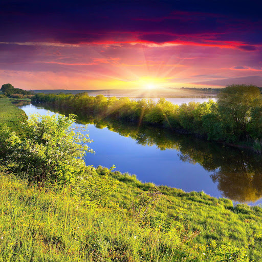 Hd-185329-ascw185329