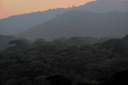 Costa Rica romantica: Rasarit deasupra Padurii Monteverde