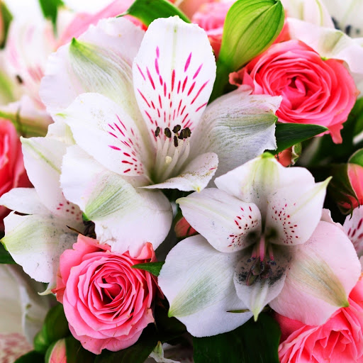 Hd-146148-ascw146148