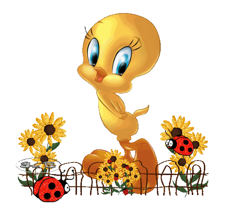 ÙØªÙØ¬Ø© Ø¨Ø­Ø« Ø§ÙØµÙØ± Ø¹Ù ØµÙØ± ÙØªØ­Ø±ÙØ©