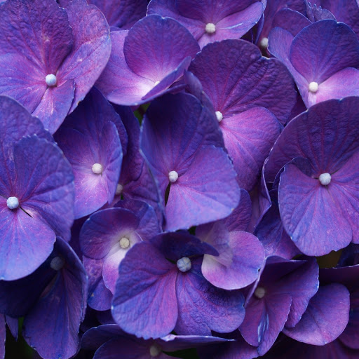 Hd-163504-ascw163504