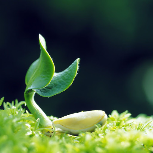 Hd-141910-ascw141910