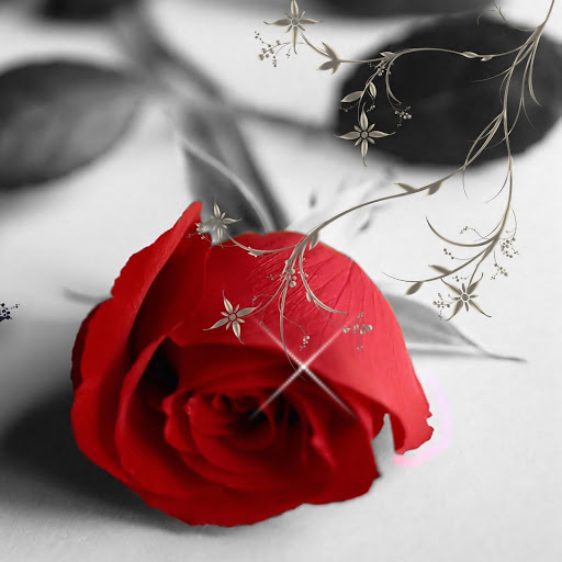 Hd-176238-ascw176238