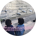Image Google de Abir Karmo
