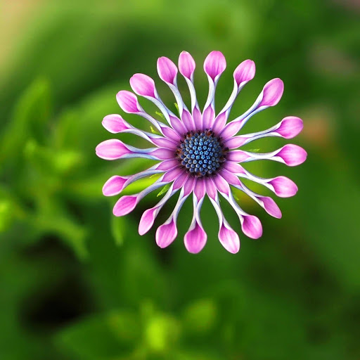 Hd-160008-ascw160008