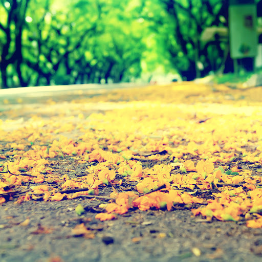 Hd-136332-ascw136332